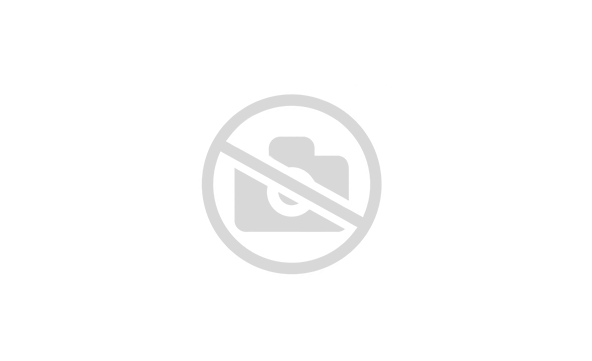 F00N201977 ����������� ���� BOSCH