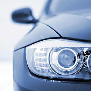 ���� ������